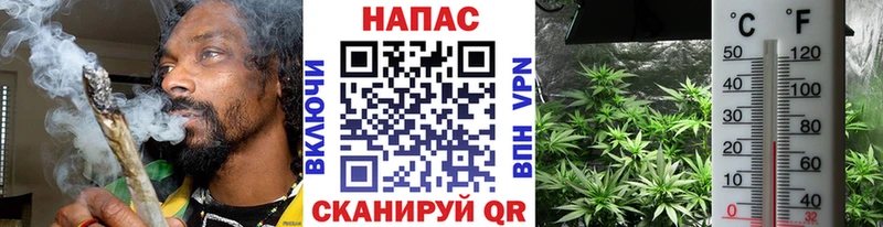 купить наркотик omg сайт Бошки марихуана MAZAR Боровск